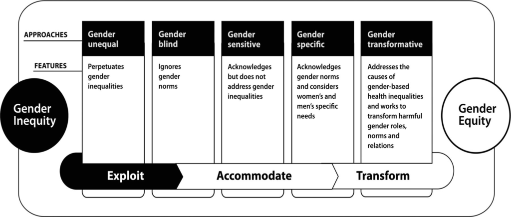 Figure 1: Illustration of the WHO Gender Responsive Assessment Scale